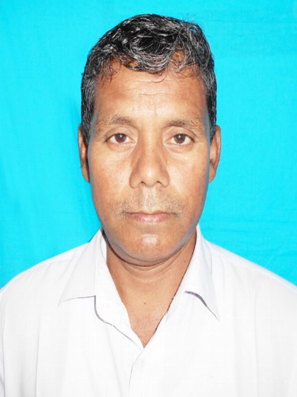 PULIN ROY